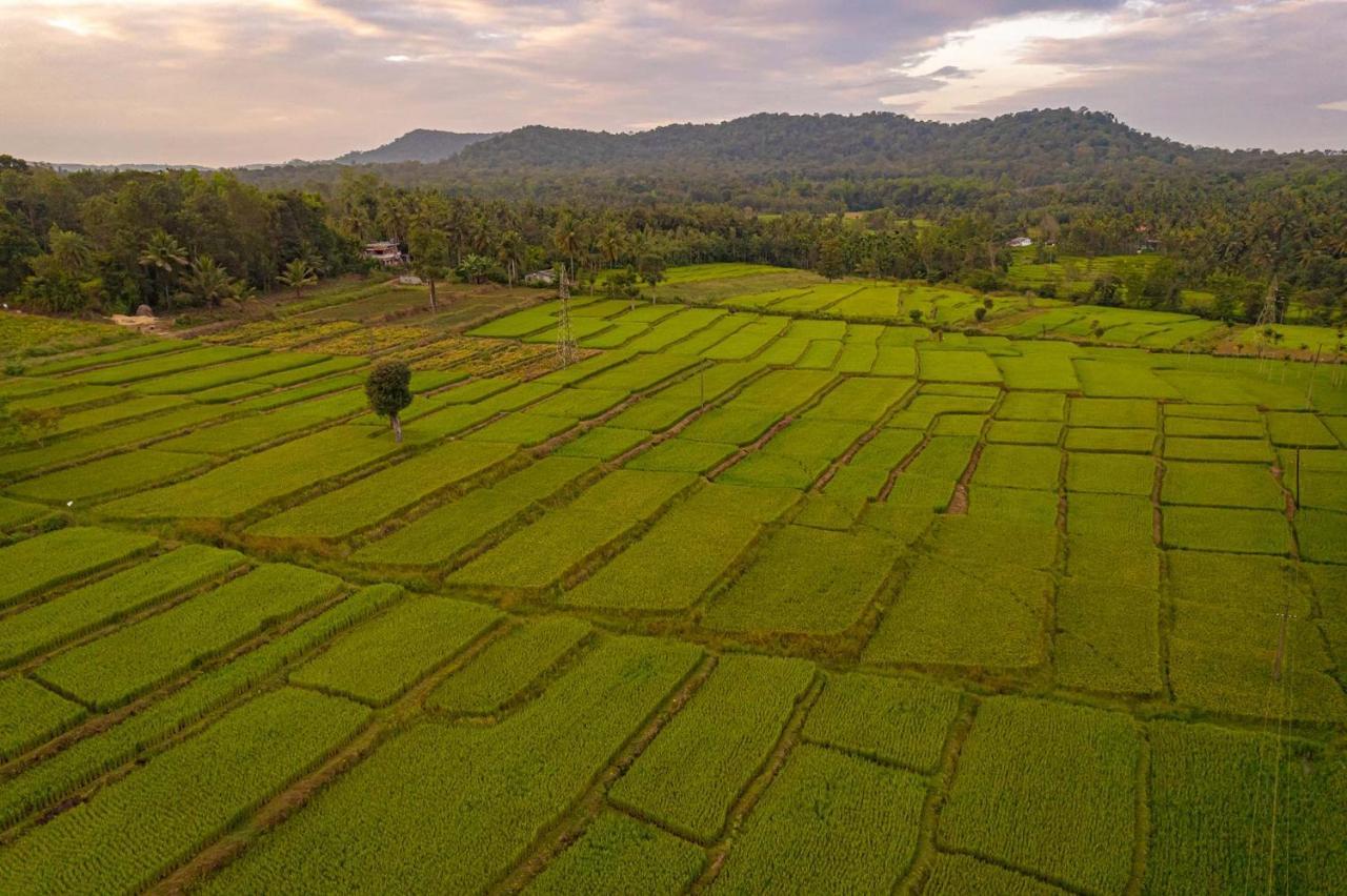 Stayvista At Firefly By The River With Breakfast Homestay *
